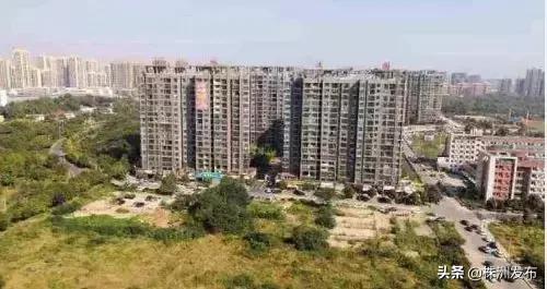 狗狗币今日最新价格,日盛山湖城最新动态,疫情最新图报,狗狗币最新价格动态与疫情背景下的日盛山湖城发展图报