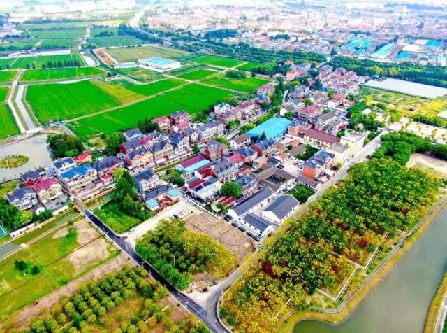 螳臂挡车 第7页