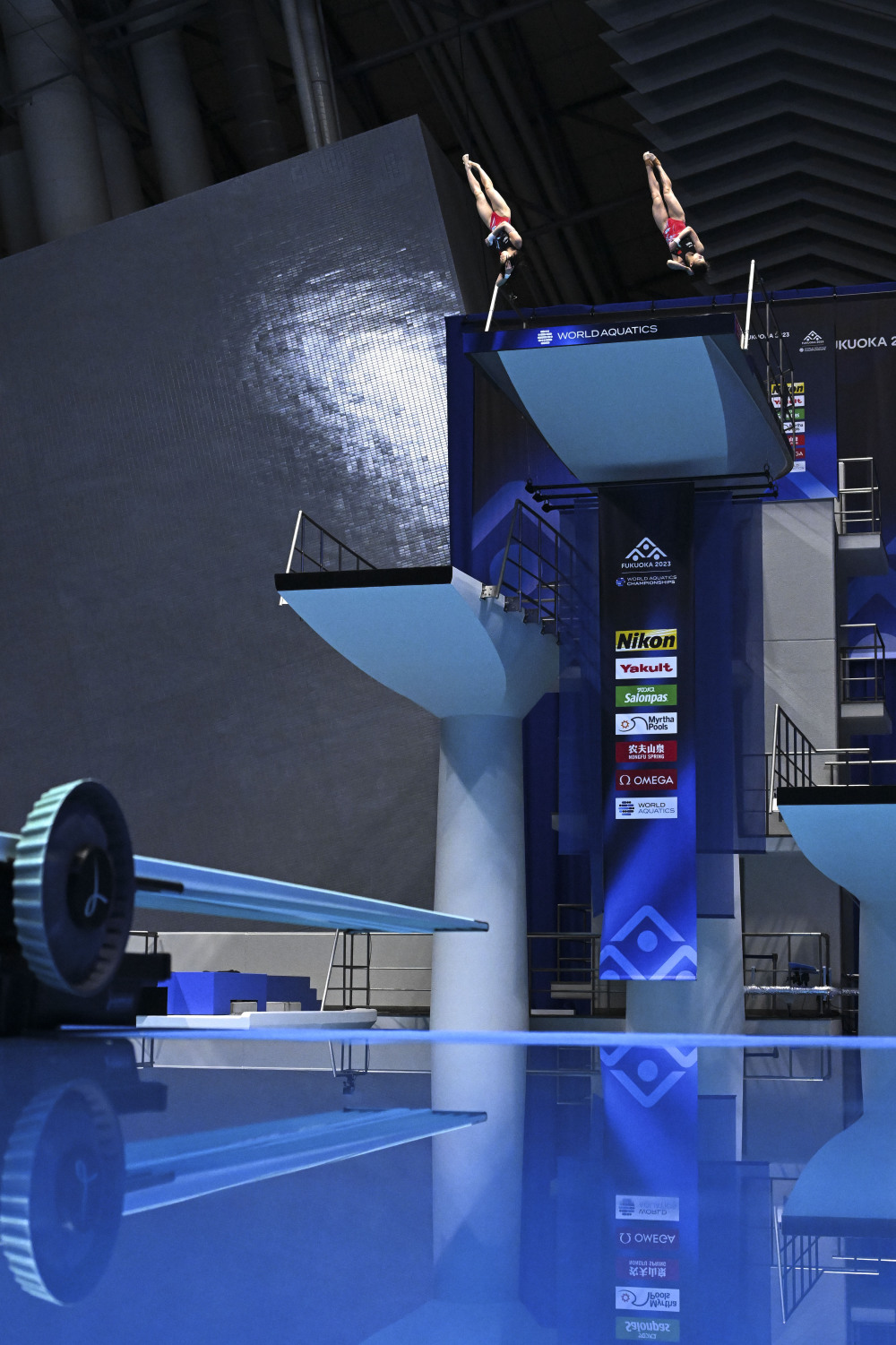 全红婵最新消息,最新款压面机,蒙自最新疫情,全红婵最新消息、最新款压面机与蒙自最新疫情——生活中的多重色彩