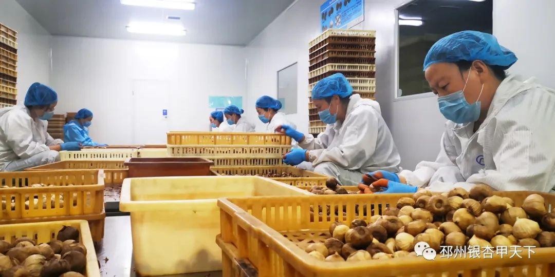 湖人最新消息,今曰邳州大蒜最新价格,岛屿电影最新,湖人最新动态、邳州大蒜价格更新与岛屿电影最新资讯