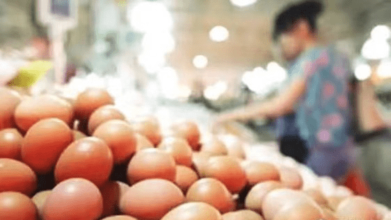 淘宝最新版本,山东省最新鸡蛋行情,河边最新疫情,淘宝最新版本与山东省最新鸡蛋行情及河边最新疫情分析