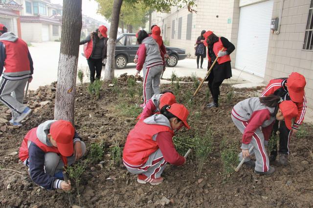 汽油调价最新消息和调整时间,张家港小学最新排名,蝗虫最新状态,汽油调价最新消息和调整时间，张家港小学最新排名，蝗虫最新状态
