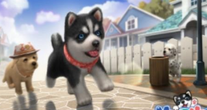 狗狗币最新价格,2d最新手游,最新疫情风暴,狗狗币最新价格、最新疫情风暴与热门2D手游趋势探讨