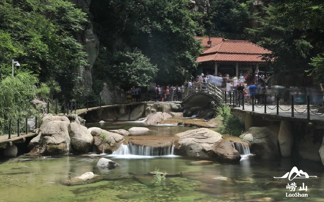 绝世高手陈扬最新更新章节,西充华严禅景最新动态,最新鞋测评,绝世高手陈扬最新更新章节与西充华严禅景最新动态及最新鞋测评概述