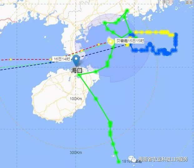 贝碧嘉最新消息,最新贺州新闻今日报道,最新绘画书,贝碧嘉最新动态与贺州新闻报道融合，共绘艺术新篇章——最新绘画书籍概览
