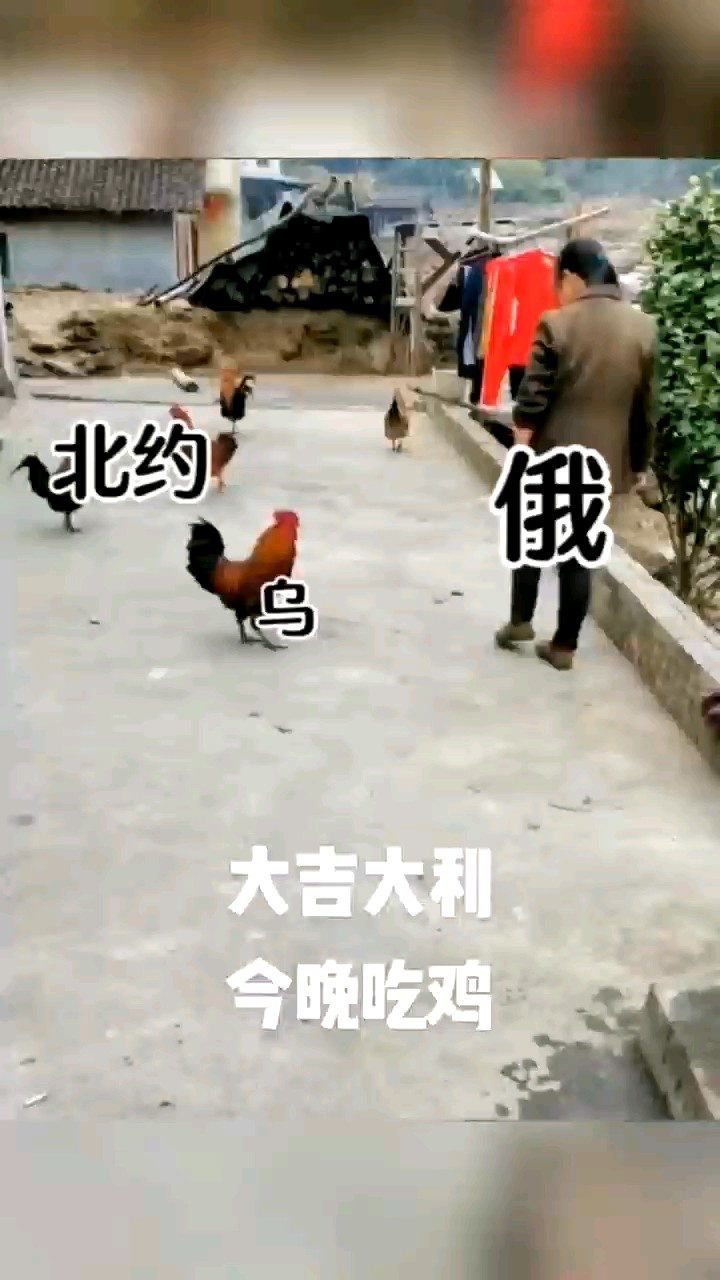 俄乌局势最新进展,协信未来城最新动态,最新茶嗅,俄乌局势最新进展与协信未来城的最新动态，茶嗅中的时代变迁