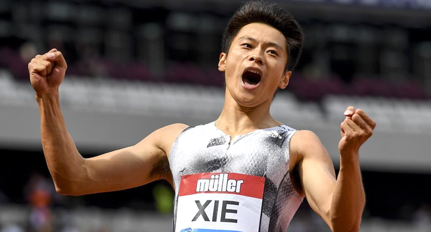 丁俊晖最新比赛消息,保定今日最新蔬菜价格,最新信托税收,丁俊晖最新比赛消息、保定今日最新蔬菜价格与最新信托税收,体育、经济与法律的交汇