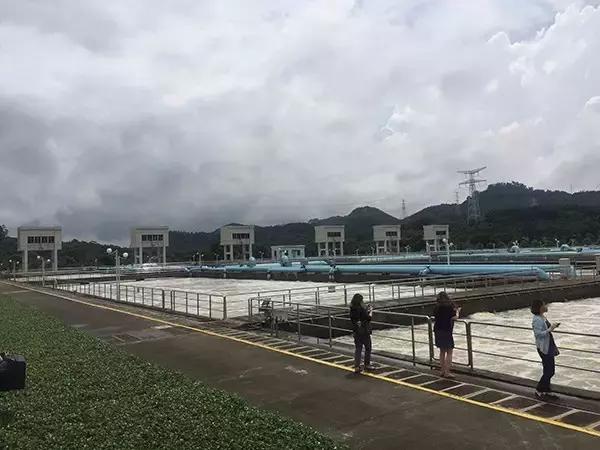 迷你世界最新版本,现在出入深圳最新规定,游轮最新疫情,迷你世界最新版本与深圳出入规定及游轮疫情的最新动态