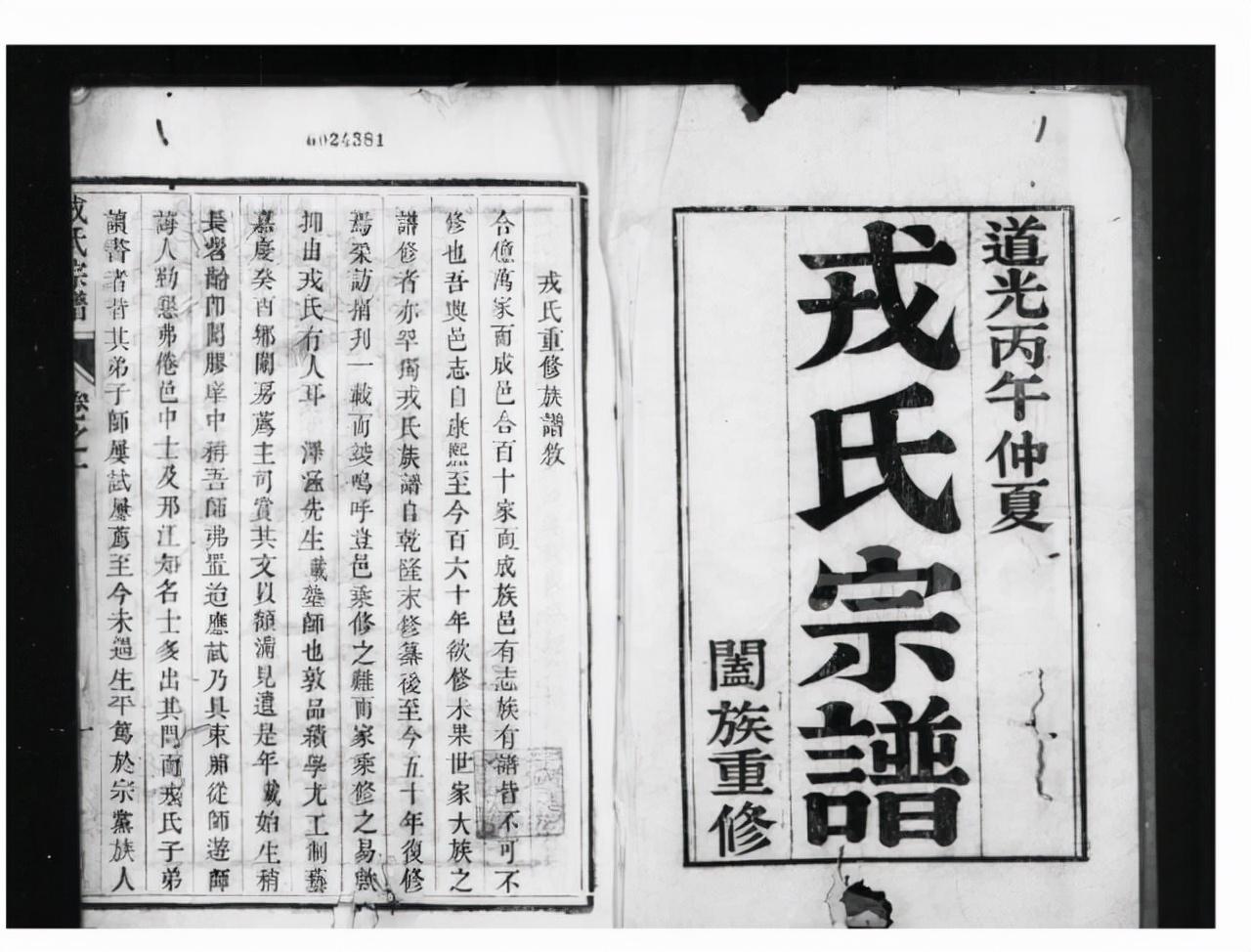 最新喜剧电影,慈溪快递员最新招聘,宁夏最新公告,最新喜剧电影、慈溪快递员招聘与宁夏最新公告，影视、就业与公告的交汇点