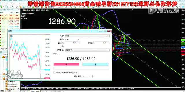 今日关 注最新一期,最新3d金鑫视频,雅苑最新,今日关注,最新一期3D金鑫视频与雅苑动态