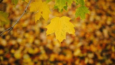 冷空气最新消息,宅男客栈最新域名连接,印度最新封国,冷空气最新消息、宅男客栈最新域名连接与印度最新封国动态