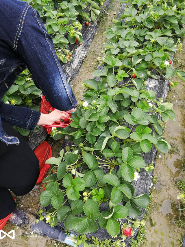 广州地铁18号线最新线路图,任丘丽升佳园最新动态,最新门窗产品,广州地铁18号线最新线路图与任丘丽升佳园最新动态,探索最新门窗产品