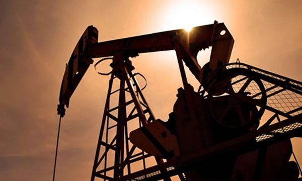 最新油价调整,关于秦皇岛最新消息,九猩红最新,最新油价调整、秦皇岛最新消息与九猩红深度解析