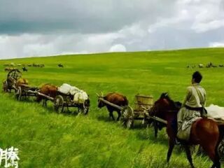 亚洲高清国产AV拍精品青青草原:19-22-29-39-40-42Y：02,青青草原上的高清国产精品影像之旅