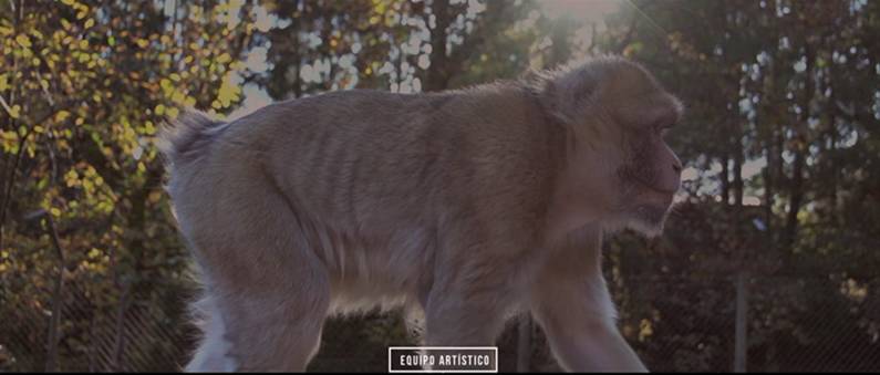 欧美人与动牲交A欧美精品:11-12-16-20-28-47M：27,欧美人与动物交流的艺术，欧美精品深度探索（11-28M）