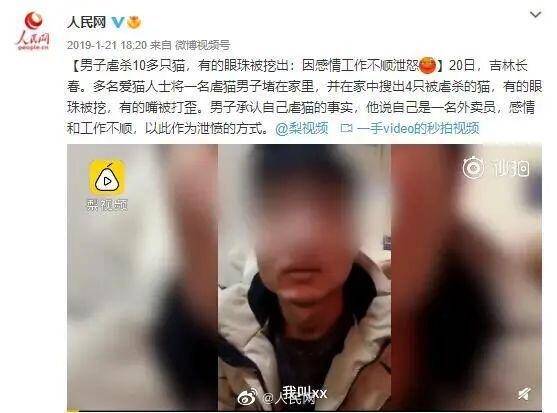 又黄又爽又色视频:14-15-23-32-38-48N:49,探索又黄又爽又色视频,一场数字间的视觉盛宴