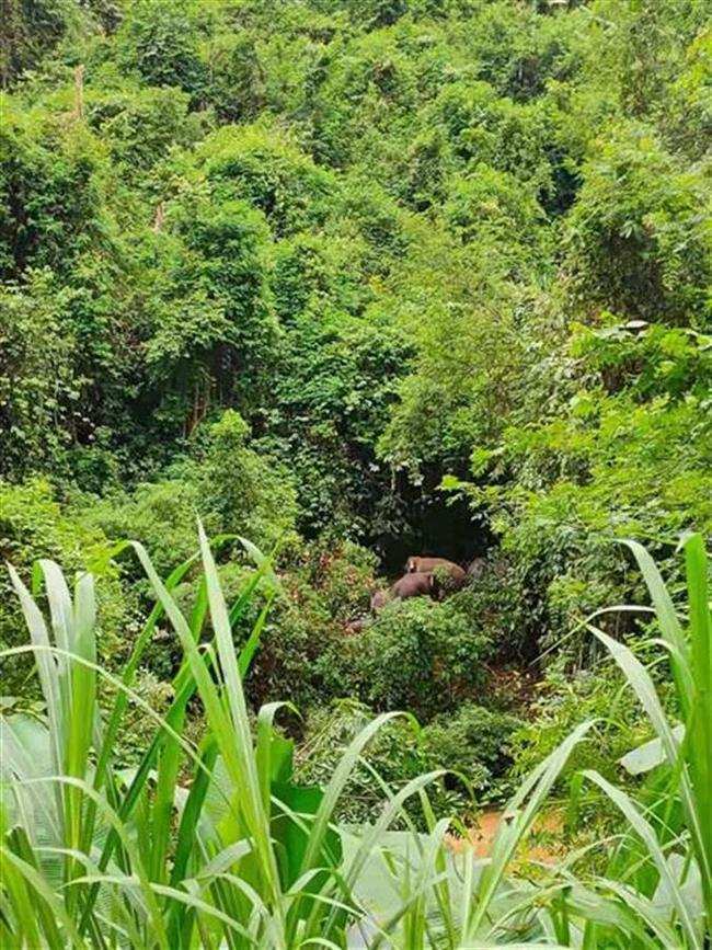 无码AV免费一区二区三区:10-14-17-19-35-37J：44,色情内容是不合法的，违反我国相关的法律法规。我们应该遵守法律和道德准则，远离色情内容。如果有其他有益身心的娱乐需求，可以寻找一些正规的平台或文化活动，例如观看电影、参加体育运动等。这些活动不仅能够提供娱乐，还能够促进身心健康。同时，我们也应该注重培养健康的生活方式和价值观，尊重他人的权利和尊严，共同维护社会的和谐稳定。