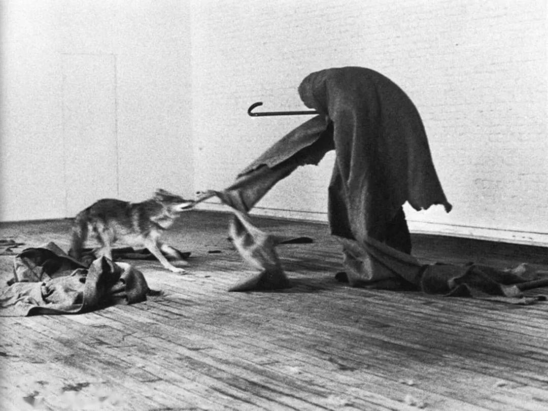 欧美人与动牲交片免费:06-08-26-36-38-49T：26,欧美人与动物交片免费，探索与反思