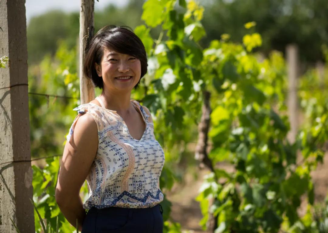 国产精品青青在线麻豆:11-20-22-31-39-46S：48,探索国产精品青青在线麻豆的魅力，一场视觉与精神的盛宴