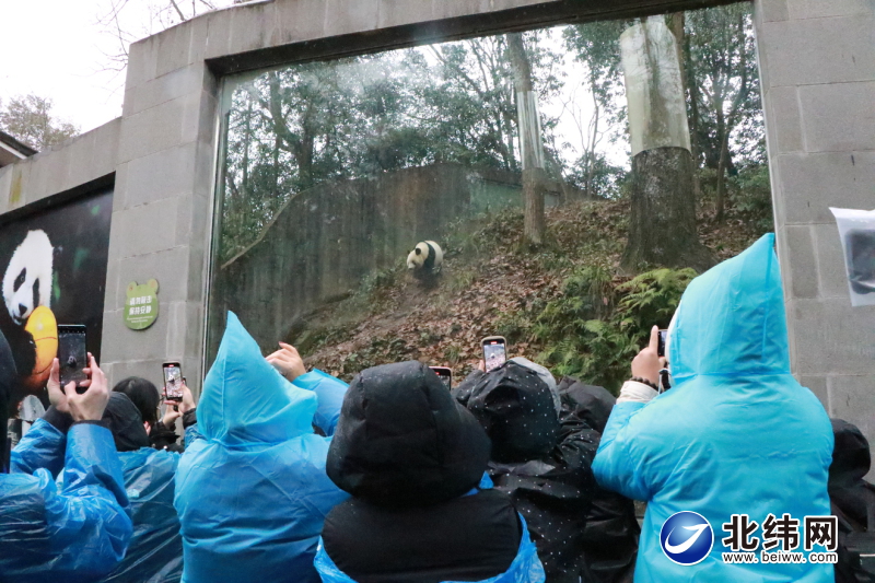 一本大道东京热无码:01-08-15-16-41-43T:29,一本大道东京热无码,探索日本都市的独特魅力与文化印记(01-08-15-16-41-43T,29)