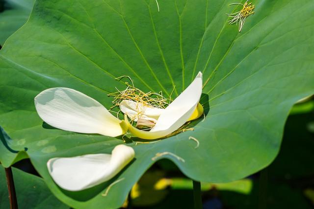 婷婷五月综合缴情在线视频:03-13-18-25-36-41K：20,婷婷五月综合缴情在线视频，深度探索与体验分享