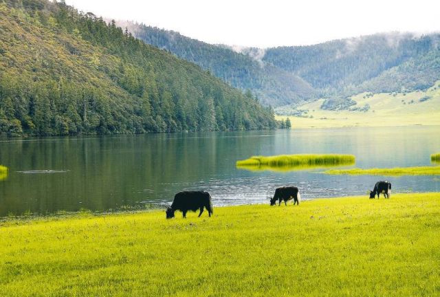 久久综合色天天久久综合图片:20-22-24-32-36-47K：06,久久综合色天天久久综合图片，探索多彩世界的魅力