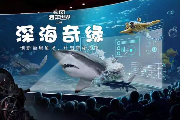 可以直接看的无码av:03-13-18-25-36-41K：20,探索数字背后的世界，直接观看的无码AV之旅