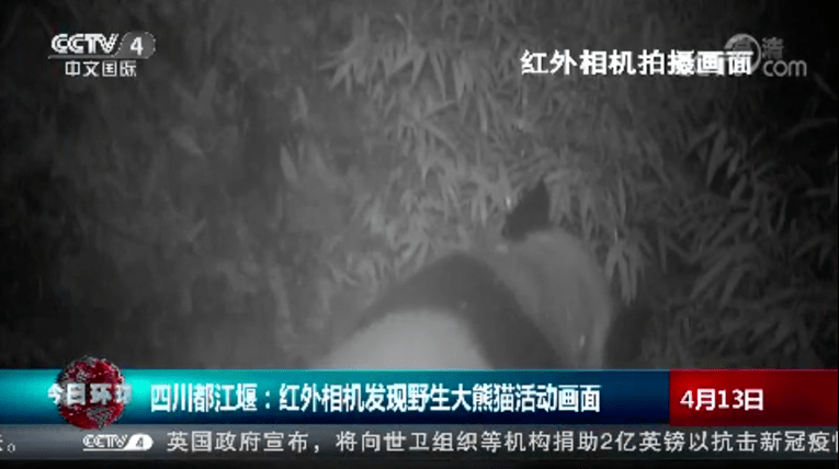 免费在线黄色电影:25-28-39-41-44-45H：14,免费在线黄色电影，探索数字时代的成人娱乐新纪元（25-28-39-41-44-45H，14）