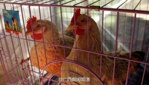 人禽杂交18禁网站免费:01-08-10-23-44-49B：14,关于网络内容与伦理道德的探讨——以人禽杂交等关键词为例