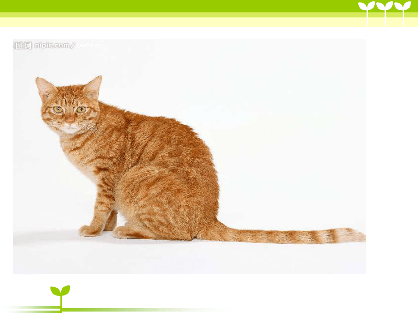 人禽杂交18禁网站免费:01-08-10-23-44-49B:14,关于网络内容与伦理道德的探讨——以人禽杂交等关键词为例