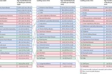国产99在线 | 欧洲:04-07-13-19-22-32H：37,国产99在线与欧洲，时空交错中的数字印记