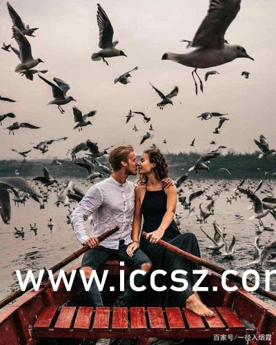 成人免费无码不卡毛片视频:03-10-19-25-29-49P:38,探索网络时代的影视娱乐,成人视频内容的挑战与机遇