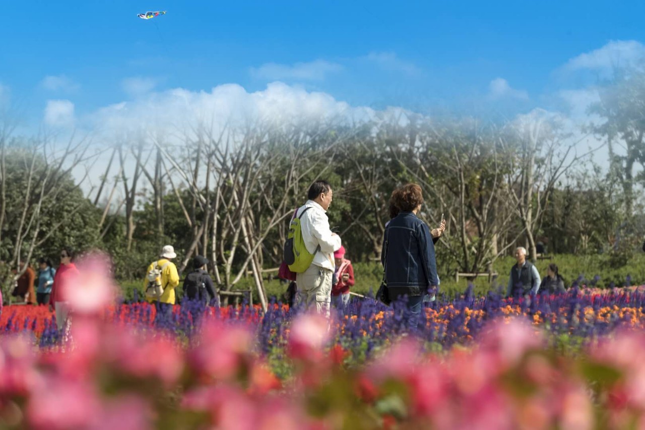 日韩精品无码一区二区忘忧草:10-14-17-19-35-37J:44,关于日韩精品无码一区二区的忘忧草,深入探索与理解