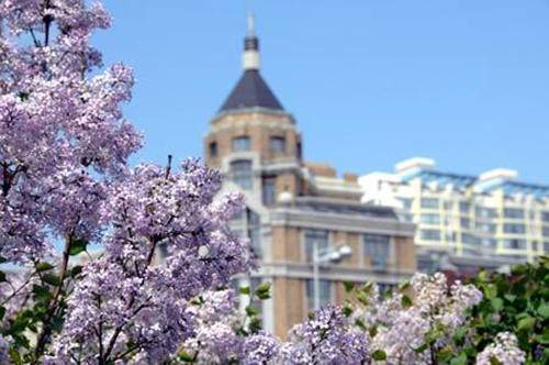 伊人久久五月丁香综合中文亚洲:11-13-36-40-42-46G:28,伊人久久五月丁香,亚洲中文综合之美与数字的魅力