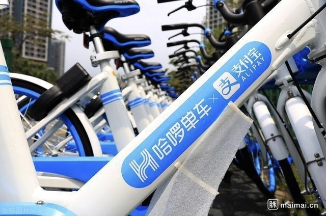 国产情侣一区二区:06-15-20-38-47-48U：11,国产情侣一区二区，探索与发现，情感的多元表达