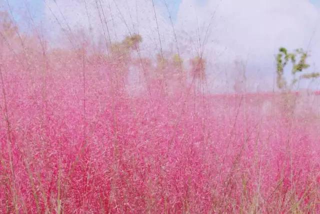 国产精品乱子伦XXXX:20-32-37-38-44-49P：10,国产精品乱子伦的探索与反思，深度探讨与多维视角