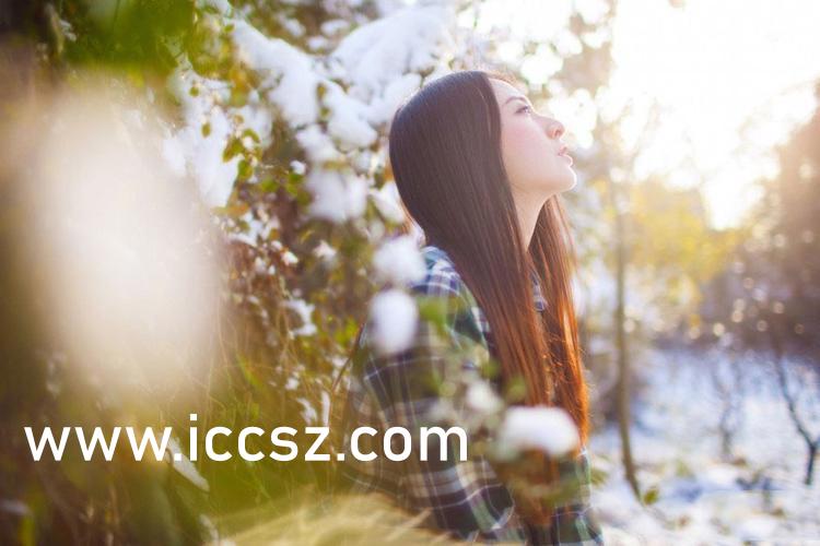 偷鸡摸狗 第6页