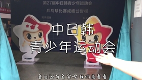 中文字幕V亚洲日本:05-07-24-25-39-41H：29,中文字幕V亚洲日本，探索一部独特文化现象的魅力时光