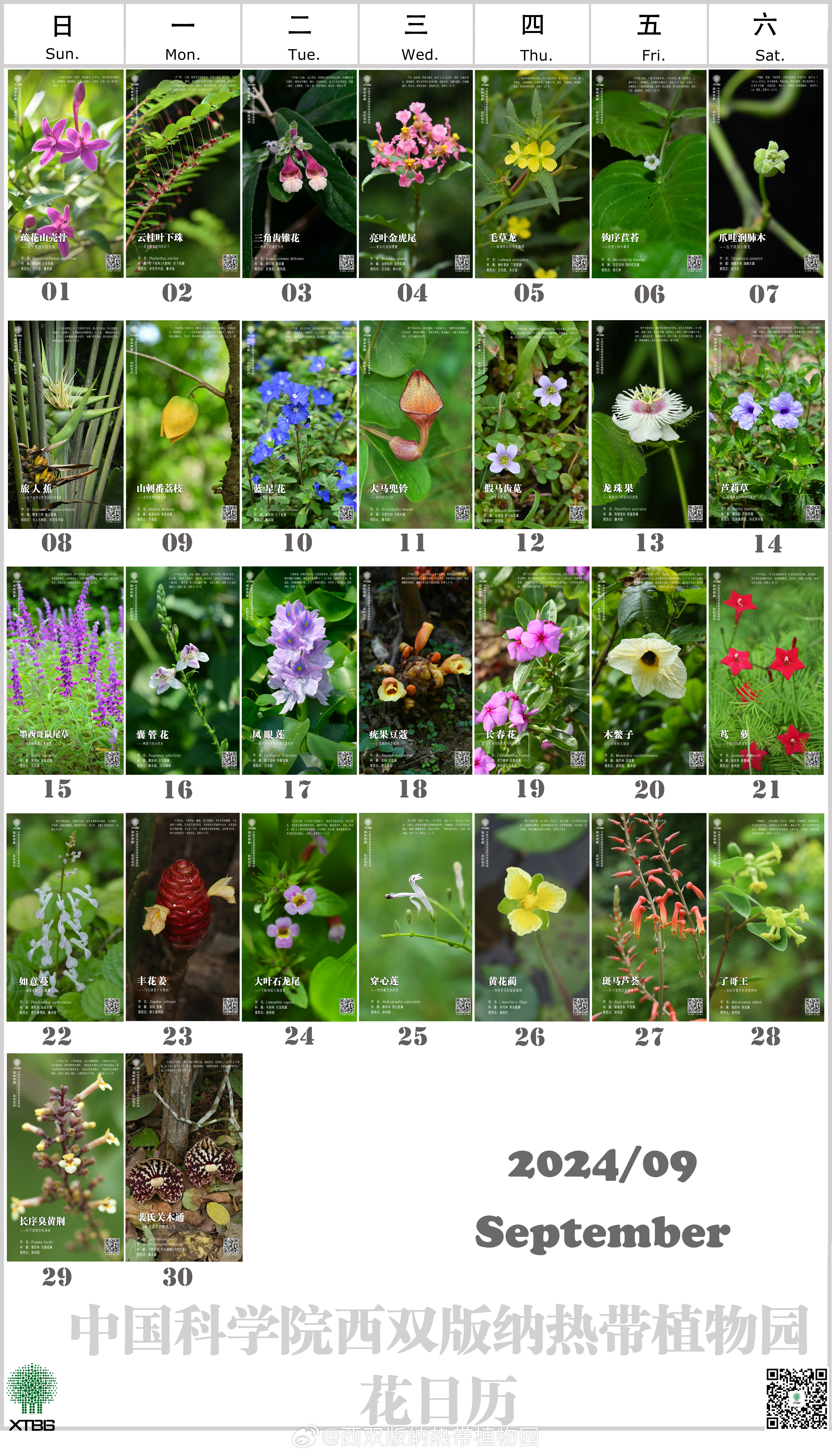 久久综合网丁香五月:01-12-20-25-34-43Z：48,久久综合网丁香五月，探索与发现的旅程 01-12-20-25-34-43Z，48