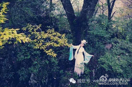 狼人青草久久网伊人:11-18-19-27-28-31M：29,狼人青草久久网伊人，一段寻觅与等待的情缘