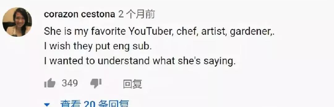 成 人 网 站国产免费观看:24-29-30-32-33-34H：31,探索国产成人网站，免费观看的魅力与责任
