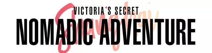 高H纯肉无码视频在线观看:03-11-42-43-45-47U：25,探索高H纯肉无码视频的奥秘，一场数字时代的文化现象