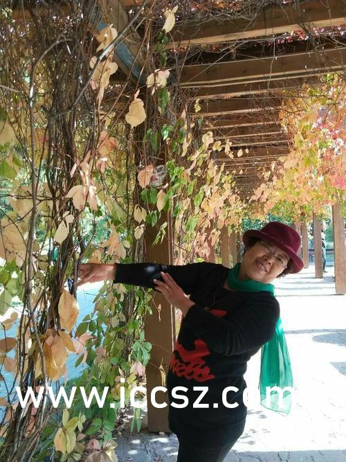 邻居少妇张开双腿让我爽一夜:01-03-30-33-35-40K:39,邻居少妇的诱惑与禁忌之夜