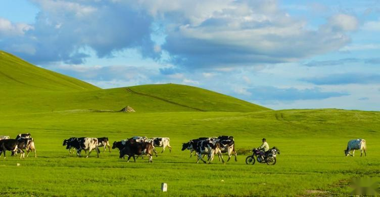 鸡零狗碎 第6页