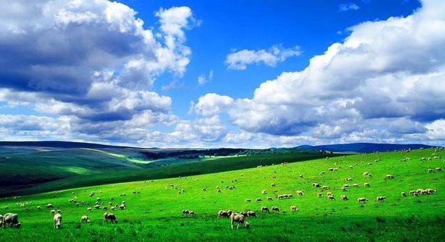 亚洲高清国产拍精品青青草原:01-03-08-16-26-43A:19,青青草原,亚洲高清国产影视的精品探索