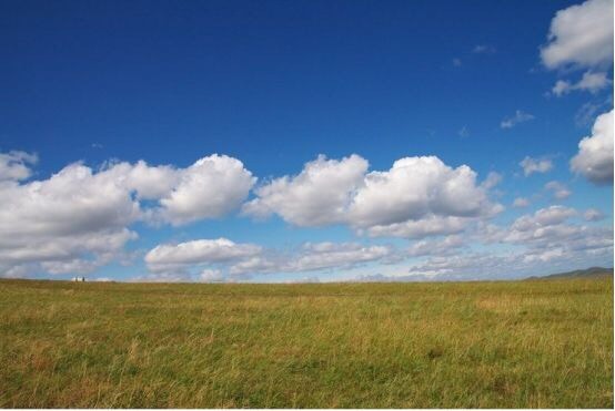 亚洲高清国产拍精品青青草原:01-03-08-16-26-43A:19,青青草原,亚洲高清国产影视的精品探索