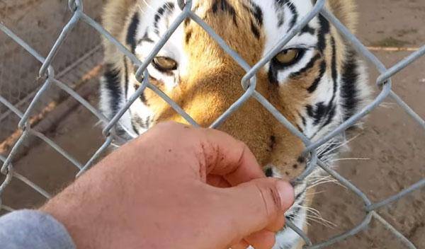 四虎永久在线精品免费视频观看:03-04-09-28-35-38R：42,四虎永久在线精品视频，探索免费视频观看的新世界