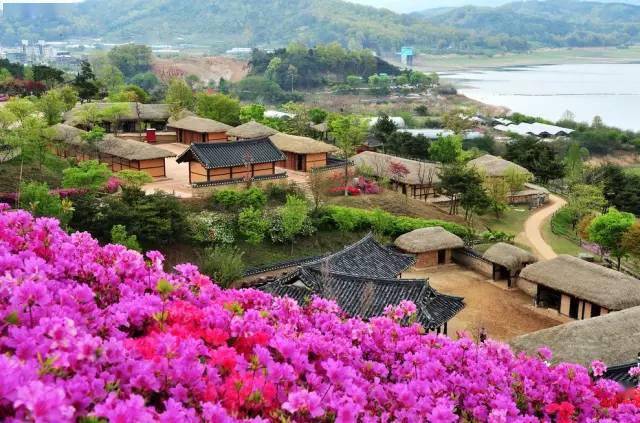 成人激情五月天:04-08-30-37-44-47J：20,成人激情五月天，一场关于梦想与活力的独特盛宴（关键词，成人激情五月天，04-08-30-37-44-47J，20）