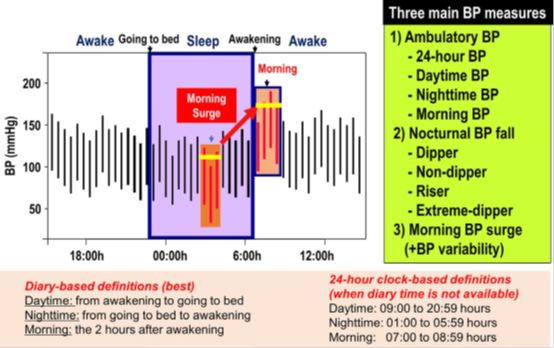 国产亚洲欧洲Aⅴ综合一区:02-10-22-24-45-48P：02,国产亚洲欧洲Aⅴ综合一区，文化交融的艺术与魅力