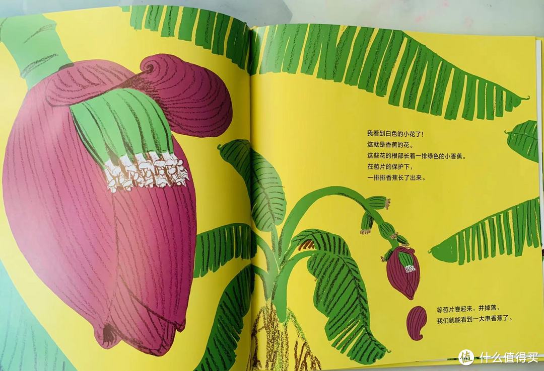 99久久精品视香蕉蕉:14-17-20-27-45-46F:13,探索精品视界,99久久香蕉蕉的独特魅力与深度解析